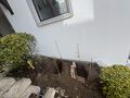 Vorschaubild der Version vom 27. Januar 2025, 11:51 Uhr